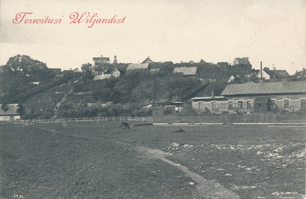 trükipostkaart, Viljandi, Trepimägi, Roosi tn majad, tapamaja, u 1905