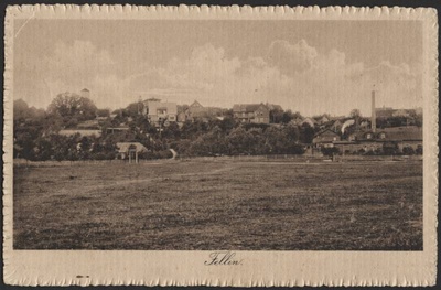 trükipostkaart, Viljandi, elamud mäeveerul, vasakul Trepimägi, paremal tapamaja, ees heinamaa, u 1912, kirjastus Kluge&Ströhm, foto A. Livenstroem  duplicate photo
