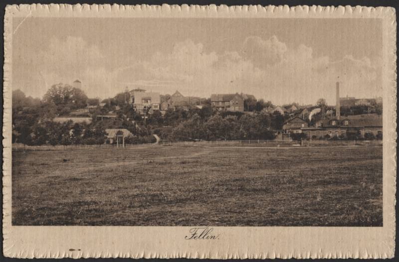 trükipostkaart, Viljandi, elamud mäeveerul, vasakul Trepimägi, paremal tapamaja, ees heinamaa, u 1912, kirjastus Kluge&Ströhm, foto A. Livenstroem