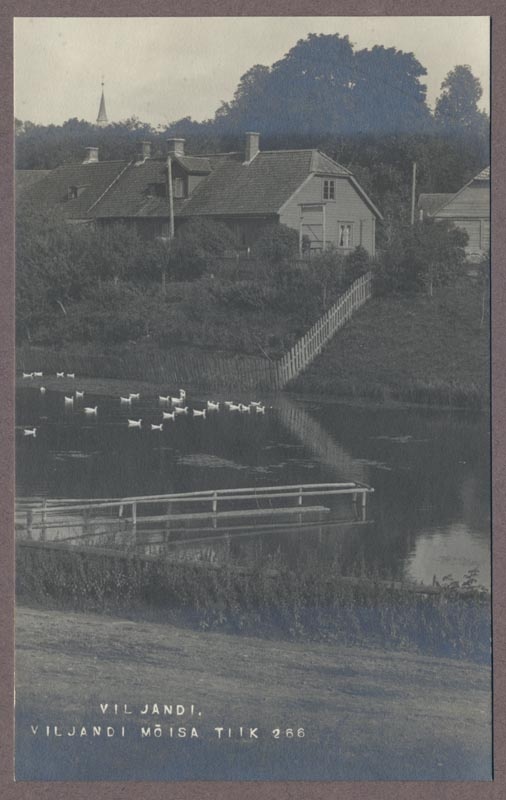 foto albumis, Viljandi, Valuoja tiik, u 1915, foto J. Riet