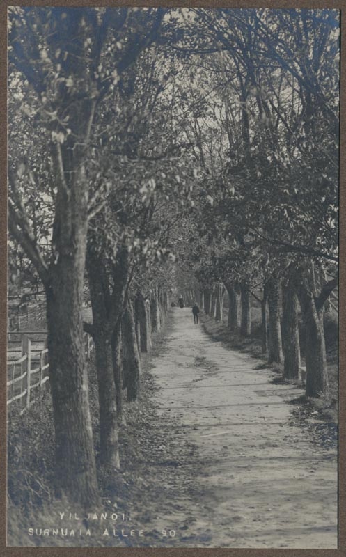 foto albumis, Viljandi, Surnuaia allee, u 1910, foto J. Riet