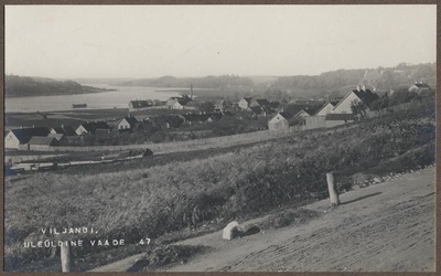 foto albumis, Viljandi, vaade Jakobsoni tn järvele, u 1910, foto J. Riet  duplicate photo