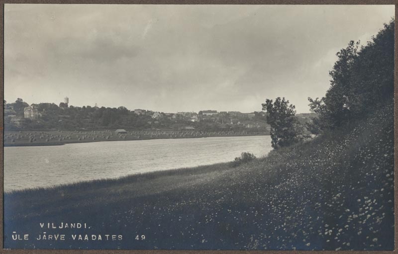 foto albumis, Viljandi, järv, heinamaa, linn, 1913, foto J. Riet