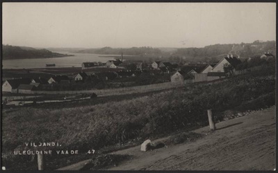 fotopostkaart, Viljandi, linn, järv, Jakobsoni tn poolt, u 1915, foto J. Riet  duplicate photo
