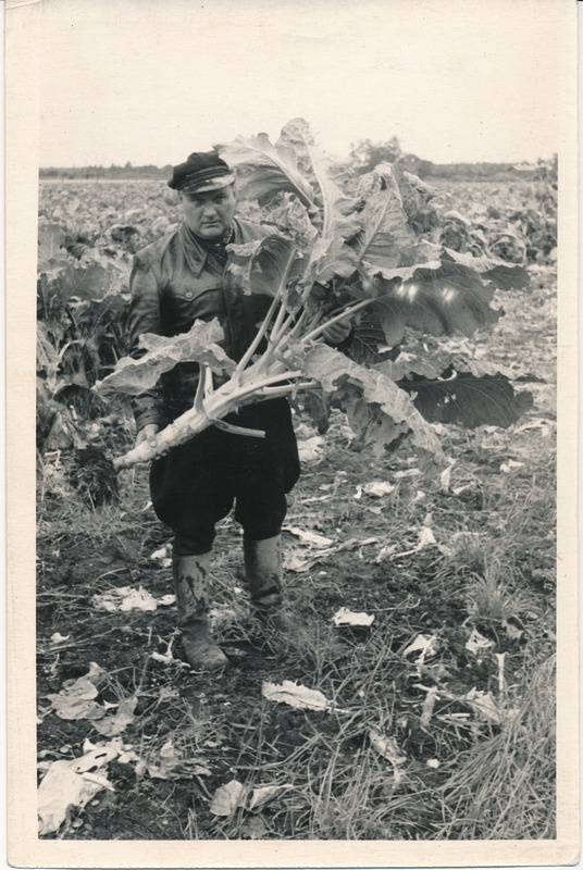 Hugo Praks Vaeküla põllul