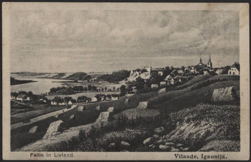 trükipostkaart, Viljandi, linn, järv, Jakobsoni tn poolt, u 1915