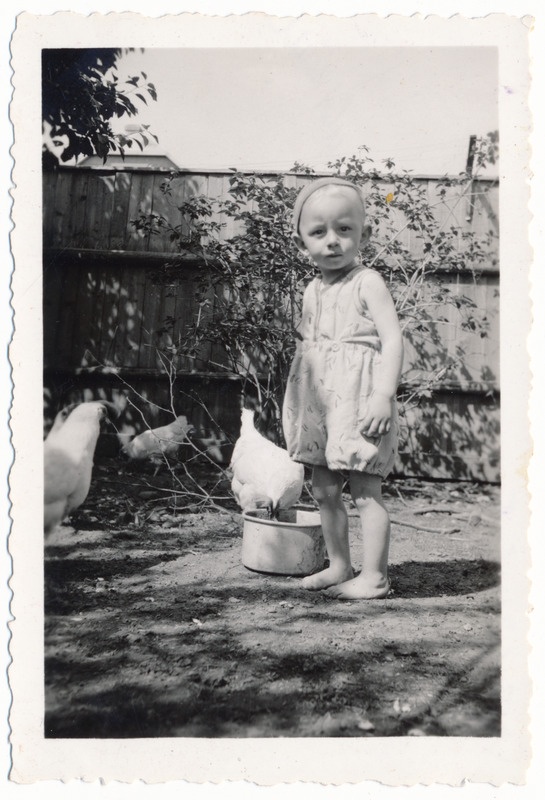 foto, laps ja kanad, Hellar Luik, Viljandi, Meeme tn 4 hoov, juuli 1945