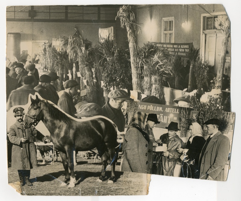 Fotokollaaž. Abja Põllumajandusnäitus