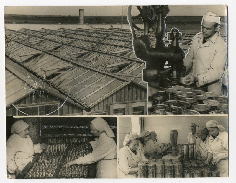 Fotokollaaž. ETKVL Kalamajandi konservitsehh ja aiand