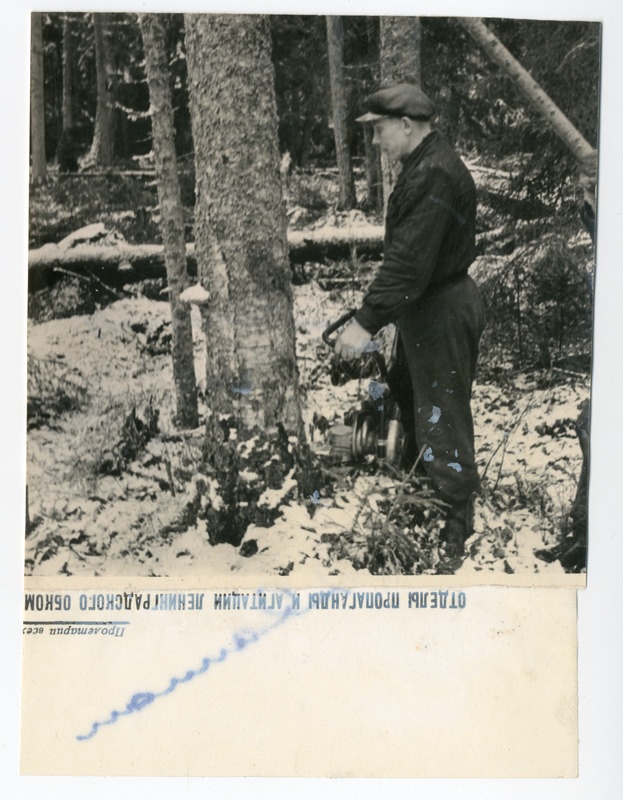 Foto, must-valge, Pärnu Kommunist. Mees metsas