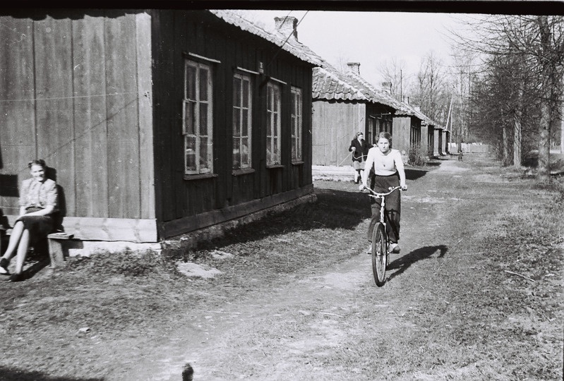 Negatiiv. Tänav Sindis