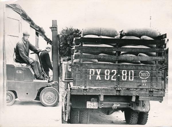 Tartu elevaator (viljasalv), viljakottide laadimine. Tartu, 1964. Foto K. Kriibi.