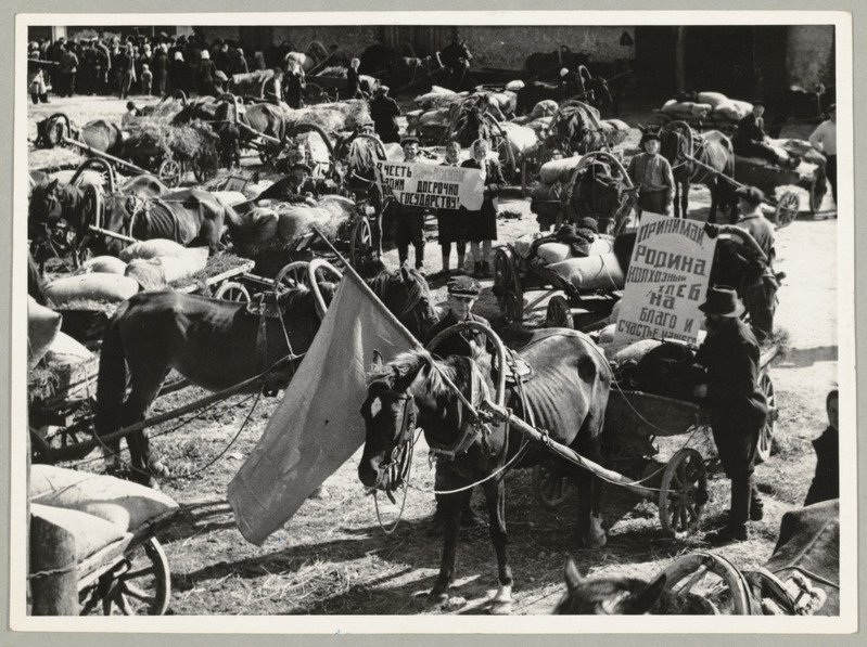 Vilja punavoor Uus-Irboska vilja vastuvõtupunktis.