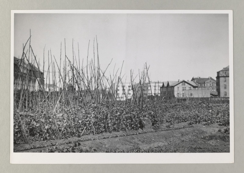 Tallinn, end. Politseiaed Raua tn., ca 1930.a.