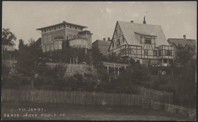 fotopostkaart, Viljandi, Trepimägi, villad Sellheim, Eiche, koloreeritud, u 1915, foto J. Riet