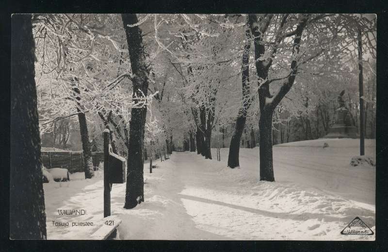 fotopostkaart, Viljandi, Kiriku allee (Tasuja pst), Eesti Vabadussõjas langenute mälestussammas, talv, u 1934