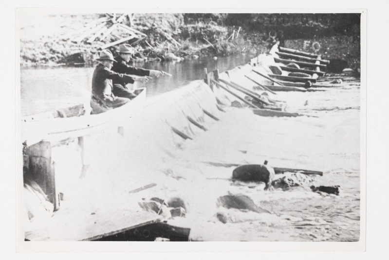 Lubergi veski paisu peal