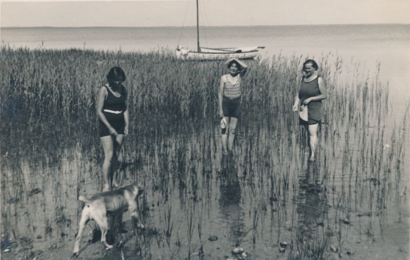 Foto. Naised kalda ääres vee koos koeraga.  Albumis HM 8466:1. Kuulunud kapten Harald Dampffile.