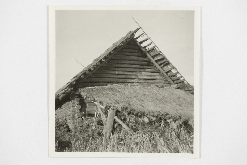 Vana kõlgus. Tjapši k