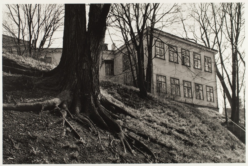 Vana Anatoomikum Tartus Toomemäel, Uppsala 10