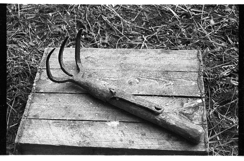 Kartulikonks, Altja, Valli talu