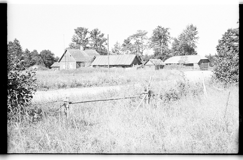 Mustoja talu üldvaade, Vergi