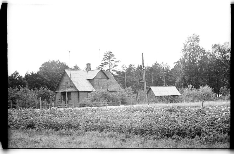 Tihase talu üldvaade, Vergi