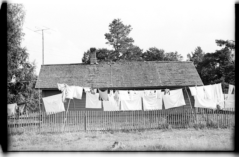 Elamu, piirdeaed, pesu kuivatamine, Vergi, Vääriku (Sipelga) talu