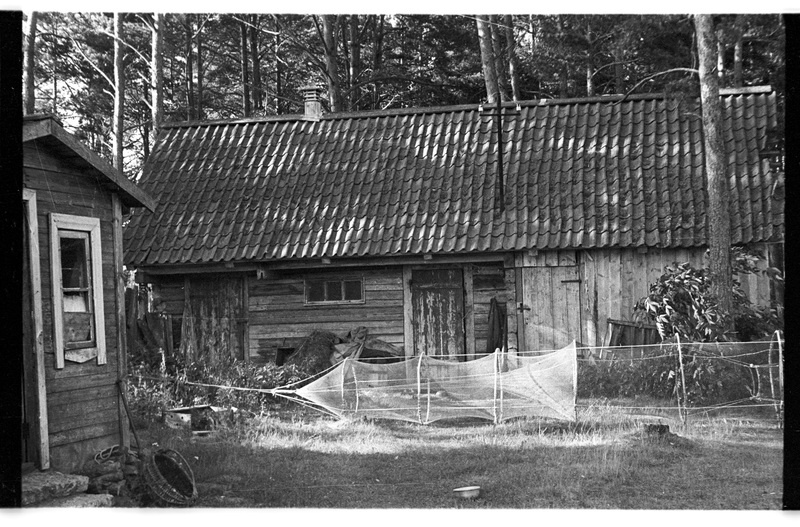 Laut ja mõrd, Vergi, Ranna talu