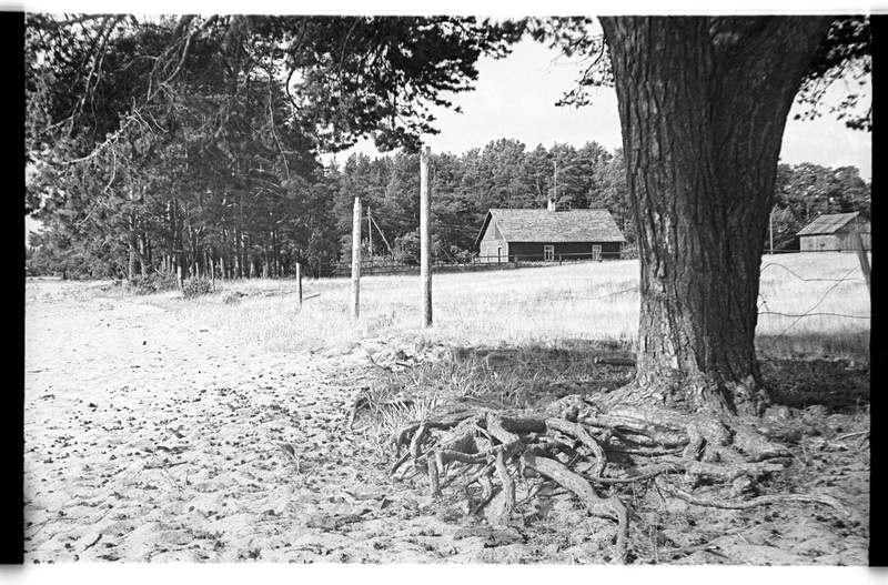 Puujuured ja Ranna talu üldvaade, Vergi