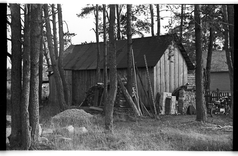 Kuur, Vergi, Reinu talu