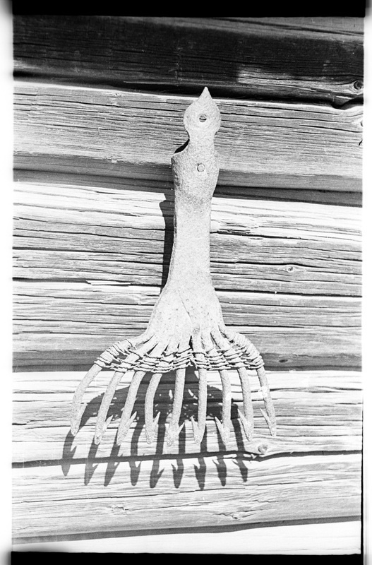 Ahing, Vergi, Oja talu