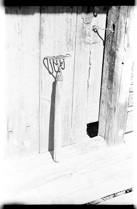 Pudrutamp/pudrunui, Vergi, Oja talu