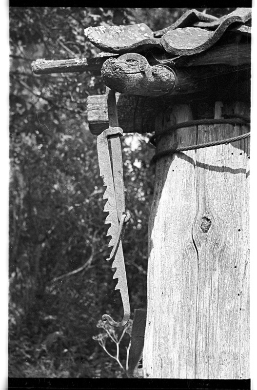 Pajakonks, Vergi, Oja talu