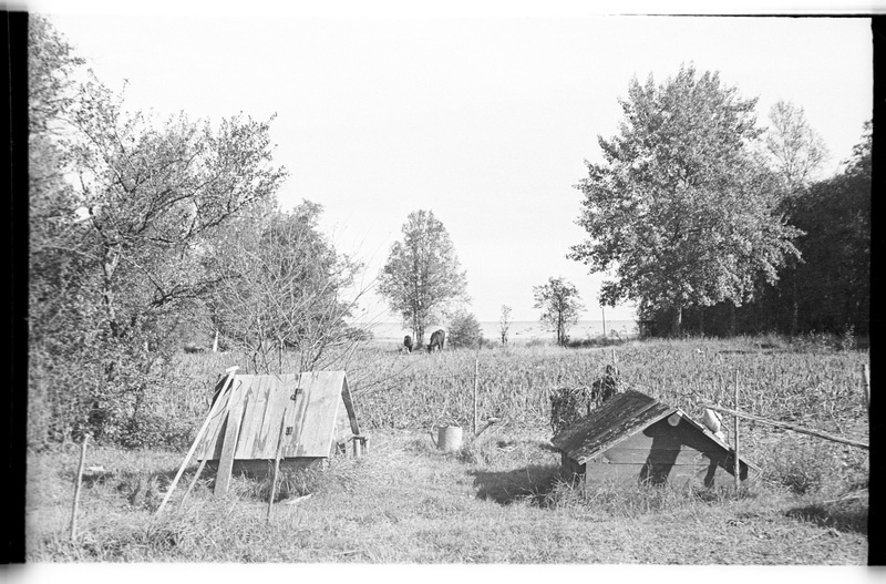 Kaevud, Pedassaare (Lahemaa), Pärtli talu