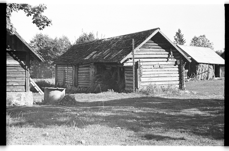 Heinaladu, Pedassaare (Lahemaa), Jaagu-Looritsa/Loritse talu
