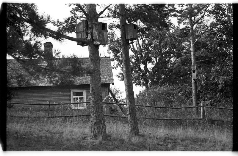 Elamu, piirdeaed ja lindude pesakastid, Pedassaare (Lahemaa), Männikuotsa talu