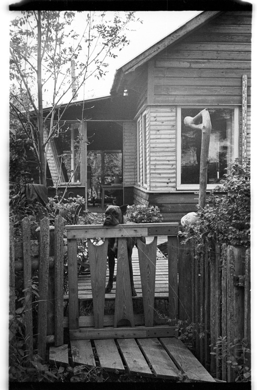 Värav, elamu, koer, Pedassaare (Lahemaa), Ranna talu