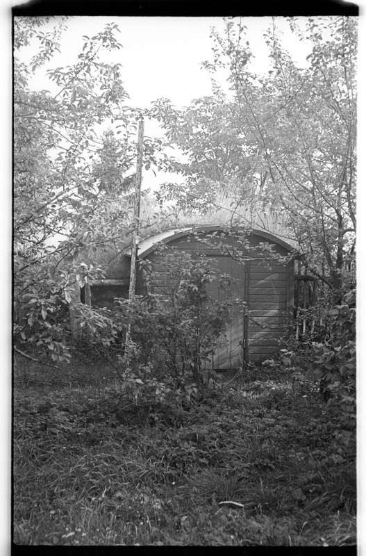 Kelder, Pedassaare (Lahemaa), Liiva talu