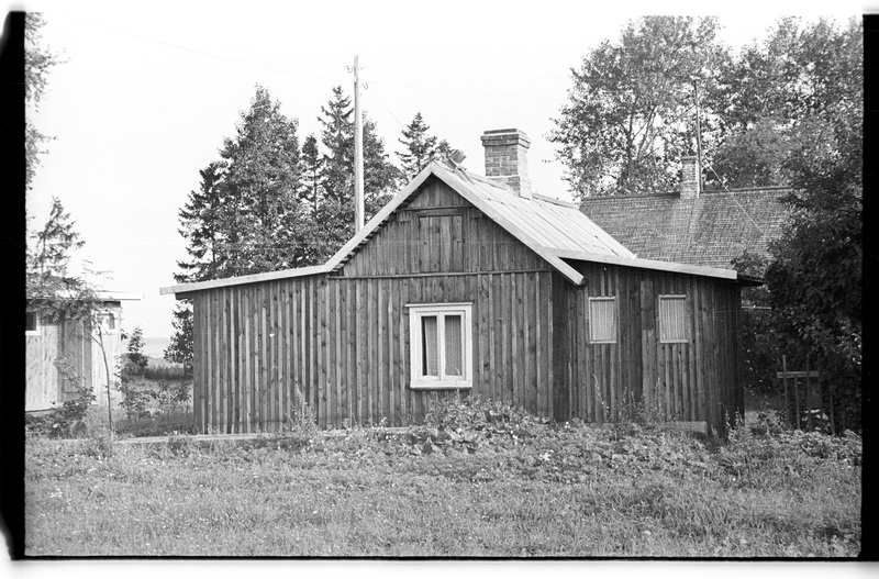 Saun, Pedassaare (Lahemaa), Liiva talu