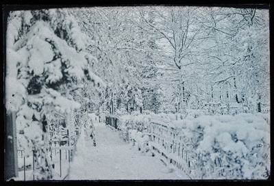 Viljandi vana kalmistu.  duplicate photo