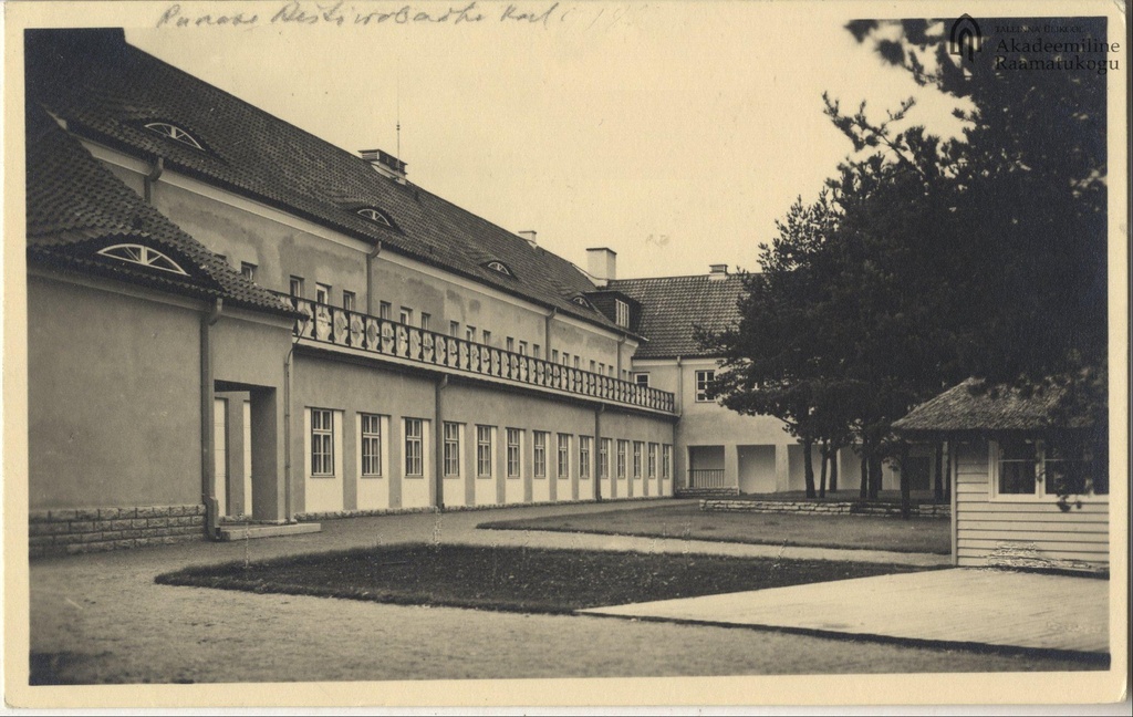 Free Air School Tea 7