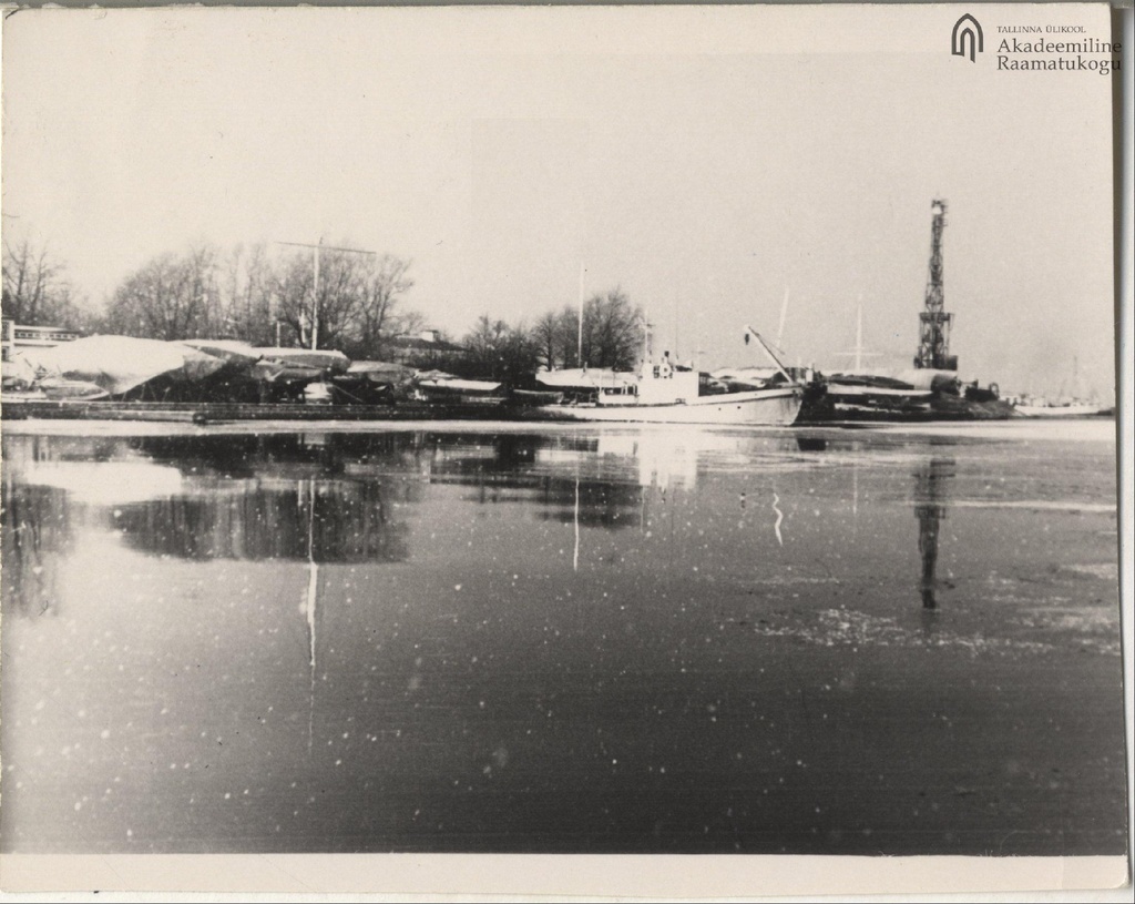 Tallinn. Pirita river port in winter.
