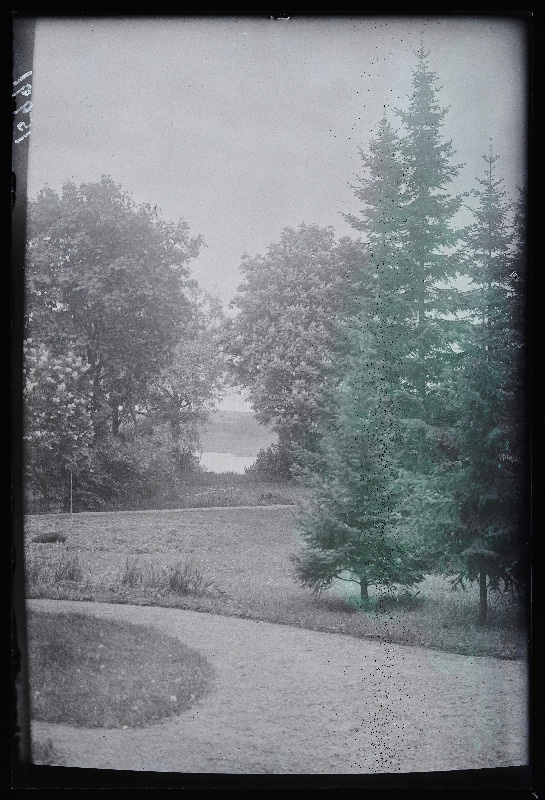 Vaade park-aiale, (foto tellija Kapp).