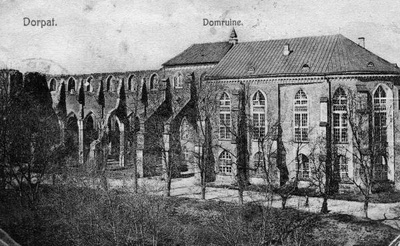 Koopia litost (üldvaade ülalt): Tartu toomkiriku varemed Toomemäel, 19. saj.  duplicate photo