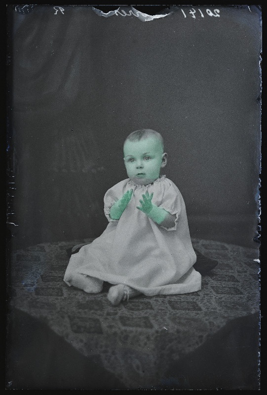 Warrese (Varres) laps.