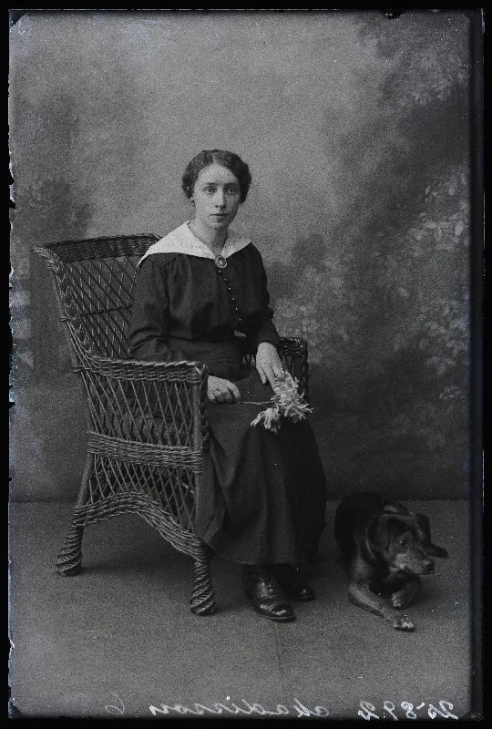 Madisson koeraga.