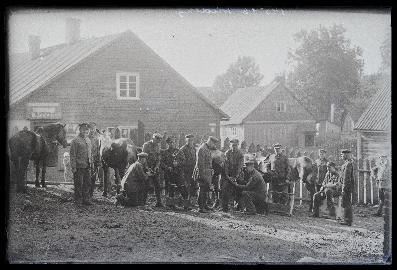 Mehed hobuseid rautamas, (foto tellija Viiding).