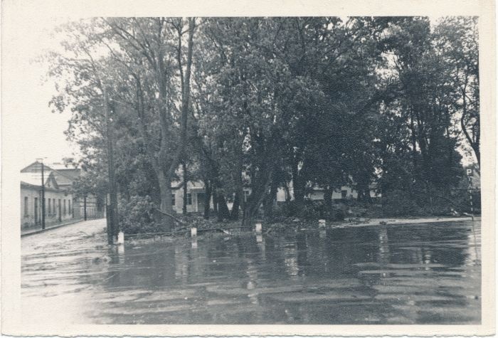 Foto. Vaade Haapsalu muuseumi esisele pargile ja osale Kooli tänavast pärast tormi. 7. aug. 1967. Fotogr. R. Kalk.