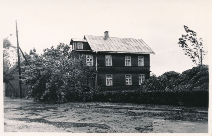 Foto. Vaade Sadama tän. algosale B. Laipmanni mälestussamba lähedal pärast tormi. 7. aug. 1967. Fotogr. R. Kalk.